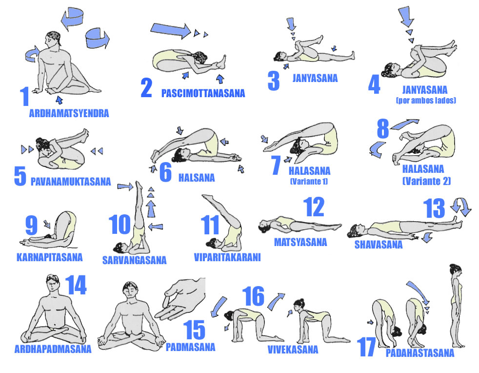 Yoga ganha número cada vez maior de praticantes e tem dia